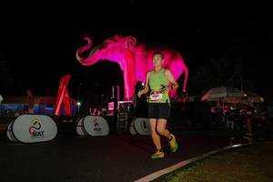 BIB: 
                            <button type="button" onclick="openModal(26543396)" class="btn btn-primary btn-sm float-right btn-popup" data-toggle="modal" data-target=".modal-high-quality">
                        <i class="fas fa-shopping-cart"></i> Add to Cart
                    </button>
                                            <button type="button" onclick="isThisMe(26543396, true)" class="btn btn-success btn-sm float-right btn-popup btn-isme hidden" data-toggle="tooltip" data-placement="bottom" title="นี่คือรูปของคุณใช่ไหม คลิกที่นี่เพื่อเอาเข้าอัลบั้ม">
                        <i class="fas fa-plus"></i> Add to album
                    </button>
                    <button type="button" onclick="isThisMe(26543396, false)" class="btn btn-warning btn-sm float-right btn-popup btn-isnotme hidden">
                        <i class="fas fa-ban"></i> Remove from album
                    </button>